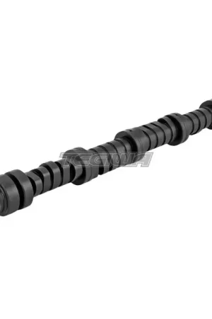 Skunk2 Tuner Series Camshafts Cams Stage 2 Honda R18 High Quality