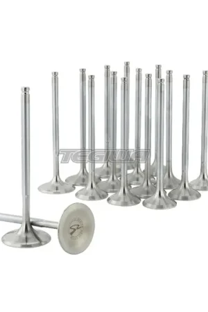 Modern Skunk2 Alpha Series Valves Stock Size Standard Compression Honda B-Ser