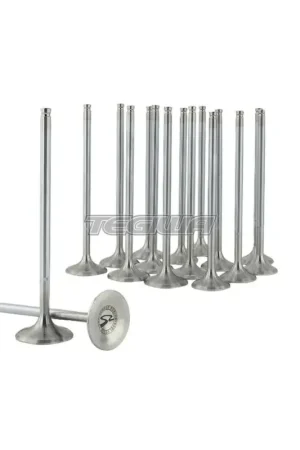 Original Skunk2 Alpha Series Valves Stock Size Standard Compression Honda D-Ser