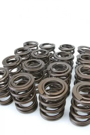 Skunk2 Alpha Series Valve Spring Kit Honda B-Series B16 B18 Grab Now