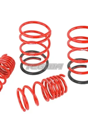 Skunk2 Lowering Springs Honda Civic Type R EP3 02-05 One Day Deal