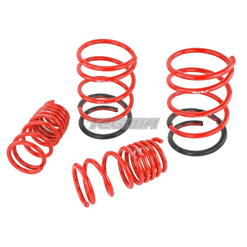 Skunk2 Lowering Springs Honda Civic Type R EP3 02-05 One Day Deal