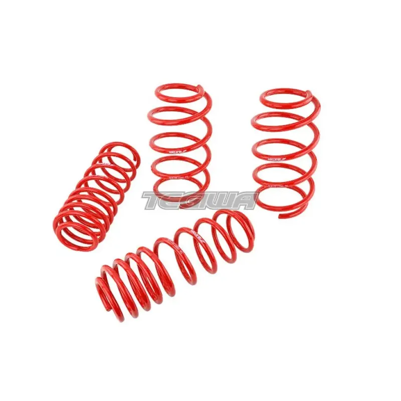 Skunk2 Lowering Springs Honda Civic Type R FN2 07-11 Authentic