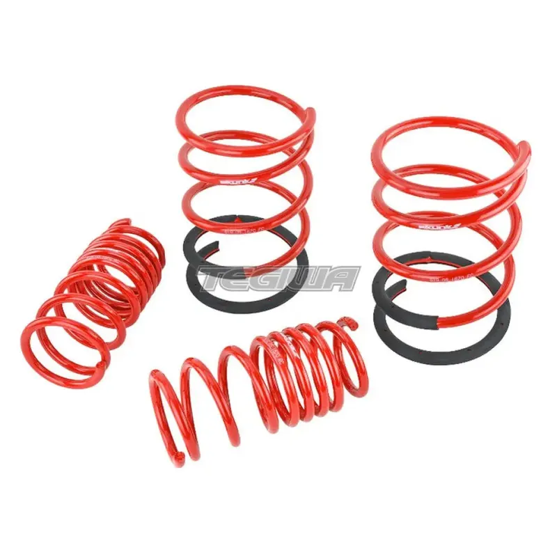 Skunk2 Lowering Springs 02-04 Honda Integra DC5 Type R Final Sale