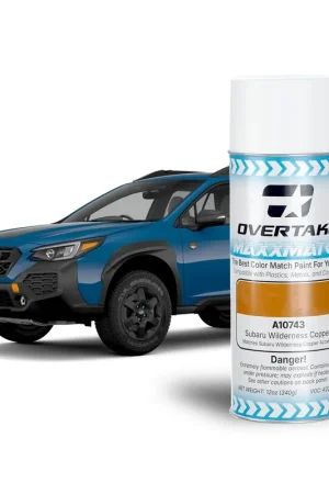 Modern Overtake MaxxMatch Paint WIlderness Copper 12oz. Can