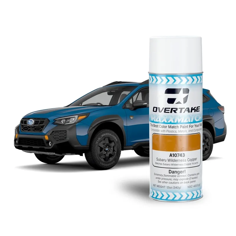 Modern Overtake MaxxMatch Paint WIlderness Copper 12oz. Can