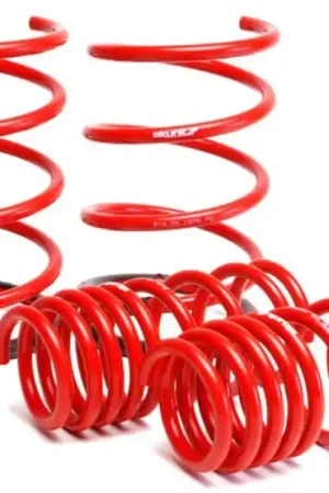 Skunk2 01-05 Honda Civic Lowering Springs (2.25in - 2.00in.) (Set of 4) No Minimum Order