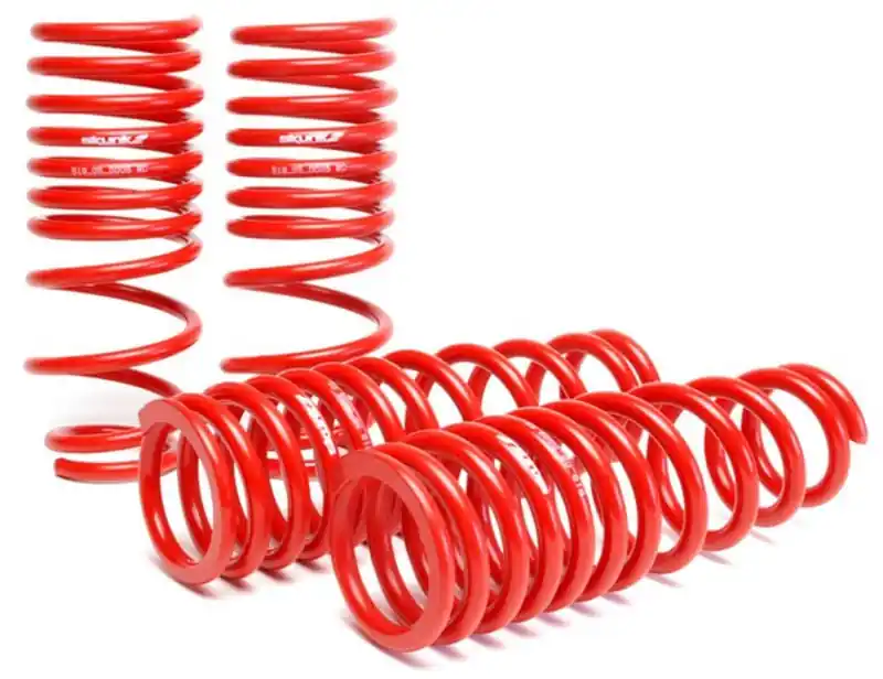 Skunk2 96-00 Honda Civic Lowering Springs (2.50in - 2.25in.) (Set of 4) Fresh Stock