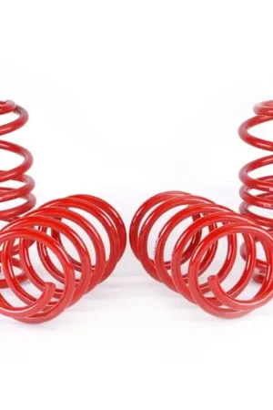 Secure Checkout Skunk2 12 Honda Civic Lowering Springs (2.25 - 2.00in) (Set of 4)