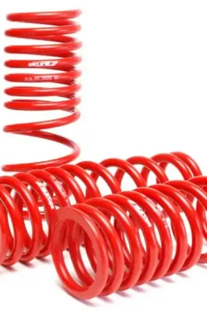 Skunk2 92-95 Honda Civic/Del Sol Lowering Springs (2.50in - 2.25in.) (Set of 4) Hot Deal