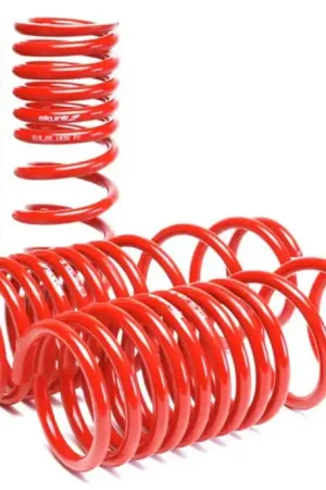 Skunk2 90-97 Honda Accord (All Models) Lowering Springs (2.00in. - 1.80in.) (Set of 4) Bulk Order