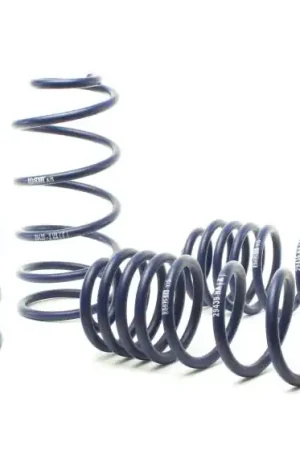 H&R 01-05 Volkswagen Jetta Wagon VR6/TDI/1.8T MK4 Sport Spring Professional Grade