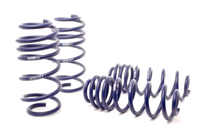 H&R 12-15 Volkswagen Passat Sedan 2.5L/1.8T/TDI/V6 OE Sport Spring (Non 4Motion) Cheap