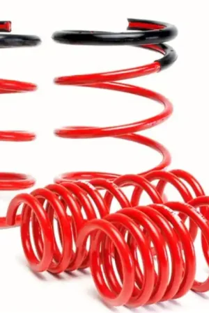 Markdown Skunk2 02-04 Acura RSX Lowering Springs (2.25in - 2.00in.) (Set of 4)