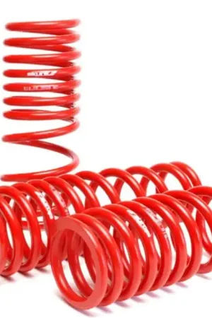 Skunk2 94-01 Acura Integra Lowering Springs (2.50in - 2.25in.) (Set of 4) Price Drop
