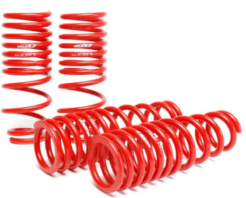 Skunk2 94-01 Acura Integra Lowering Springs (2.50in - 2.25in.) (Set of 4) Price Drop