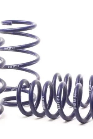 H&R 11-17 BMW X3 F25 Sport Spring Reduced Price