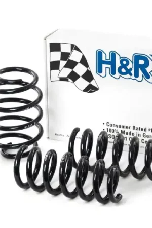 Trending H&R 09-19 Ford Flex (2WD/AWD) Sport Spring