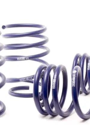 H&R 01-05 BMW 325Xi Sport Wagon E46 Sport Spring Limited Edition