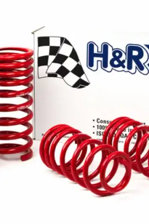 Discount H&R 94-95 Ford Mustang/Mustang Cobra V8 Race Spring