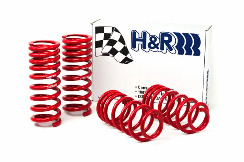Discount H&R 94-95 Ford Mustang/Mustang Cobra V8 Race Spring