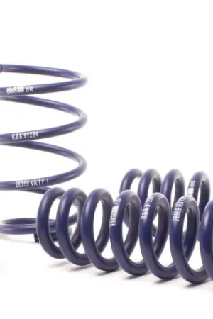 H&R 13-15 BMW X1 sDrive28i E84 Sport Spring (2WD Only) Instant Buy