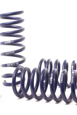 Hassle-Free Returns H&R 12-19 BMW 650i Coupe/650i xDrive Coupe F13 Sport Spring