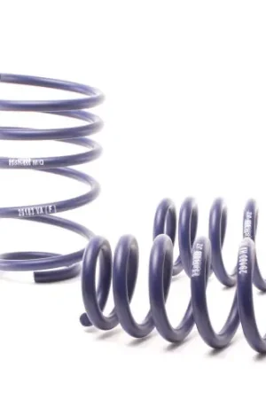 Buy Direct H&R 07-11 BMW 328i Sedan/335i Sedan E90 Race Spring