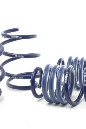 H&R 17-21 Honda Civic Type-R FK8 Sport Spring Hot Deal