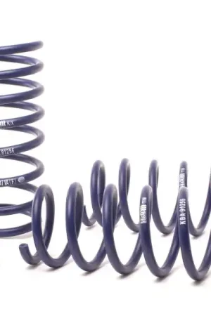 H&R 11-16 BMW 550i F10 Sport Spring Exclusive