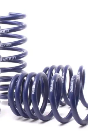 H&R 07-13 BMW X5 E70 Sport Spring (w/o Self-Leveling/Incl. Diesel) Affordable