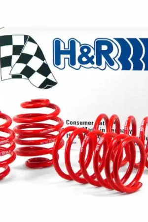 Viral H&R 85-91 BMW 325e/325i/325is E30 Race Spring (Non Cabrio/Tuner Fitment)
