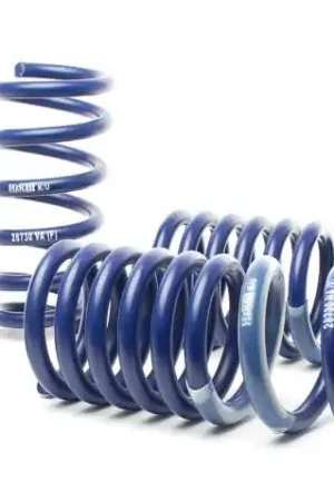 H&R 17-19 Jaguar F-PACE/F-PACE Premium/F-PACE Prestige (AWD) Diesel/V6 DC Sport Spring Handmade