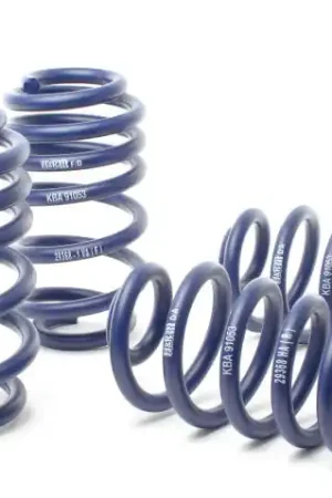 H&R 02-08 Audi A4 Avant Quattro/A4 Quattro (AWD) 4 Cyl 8E Sport Spring (Incl. Facelift Model) Premium