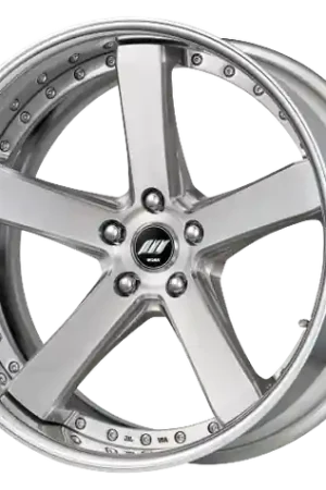 Viral Work Zeast Black Label Bst2 5x120 19x9.5+38 H Disk Brush Silver Clear