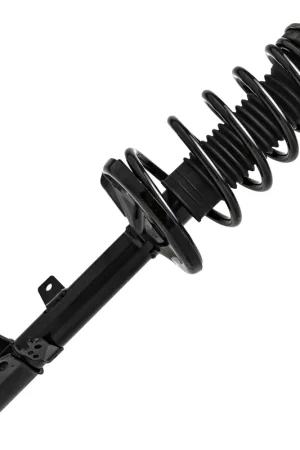 Exclusive Rear Passenger Side Strut w\\/Coil Spring