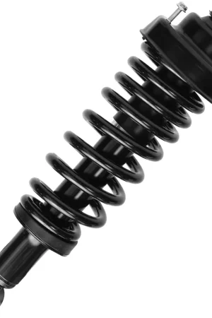 Weekend Sale Rear Driver or Passenger Side Strut w\\/Coil Spring
