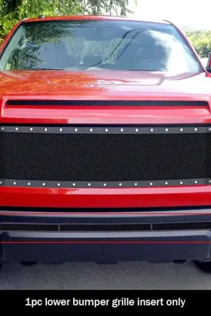 Direct From Manufacturer APS Black Wire Mesh Grille APS GR20GEI88H