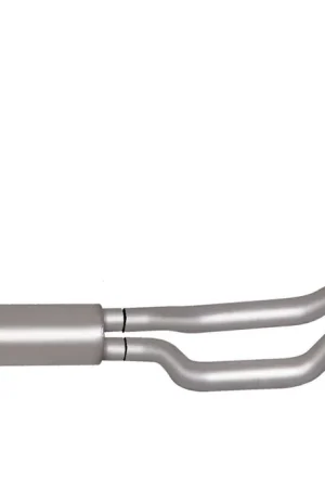Best Choice Gibson Performance Cat-Back Dual Sport Exhaust System; Stainless BFBL 69119