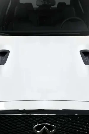 New Release Duraflex GTR Look Hood EXT 119365