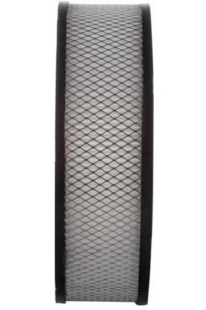 1974 Chevrolet P20 Van Air FilterPA91 Special Discount