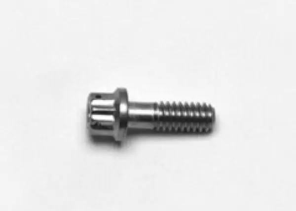 Wilwood Stainless Steel Rotor Bolt - 12pt 1/4-20 X .75 L Price Cut