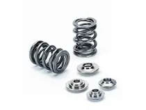 Supertech Nissan VQ35DE 24V/VK56 32V Dual Valve Spring Kit Same Day Shipping