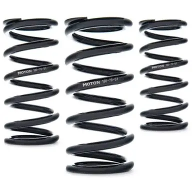 Low Price AST Linear Race Springs - 120mm Length x 60 N/mm Rate x 61mm ID - Set of 2 - AST-120-60-61